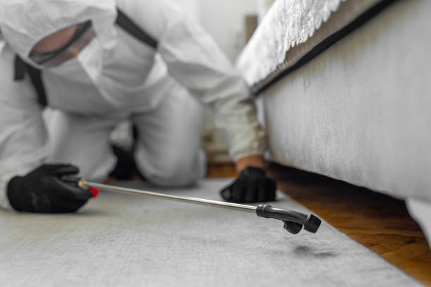 Professional Bed Bug Control technician working in Mechanicsburg, OH