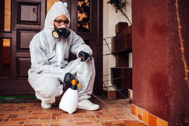 Reliable Bed Bug Control contractor in Mechanicsburg, OH by Nex Pest Control