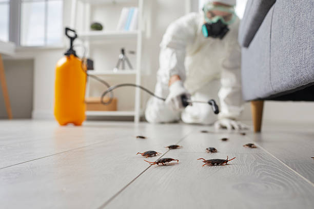 Trusted Rodent Control service in Mechanicsburg, OH - Nex Pest Control